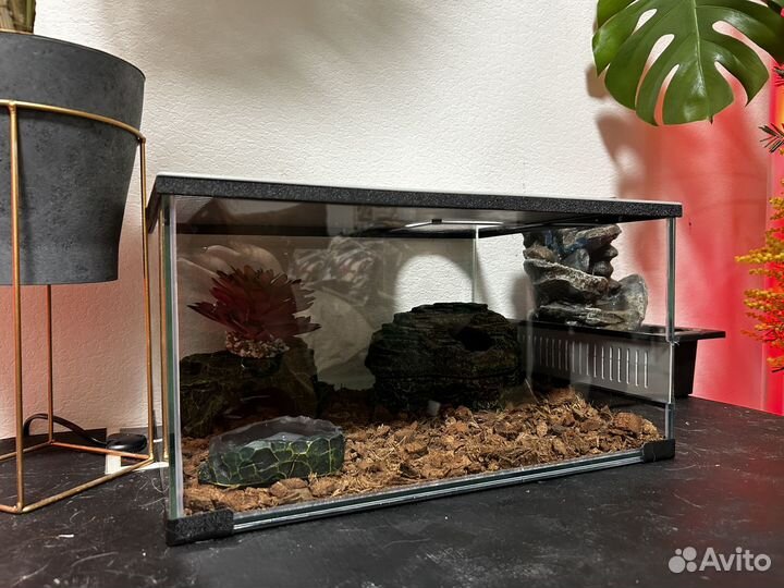Террариум для эублефара, змеи, рептилий