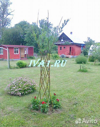 Плетеные деревья из ивы