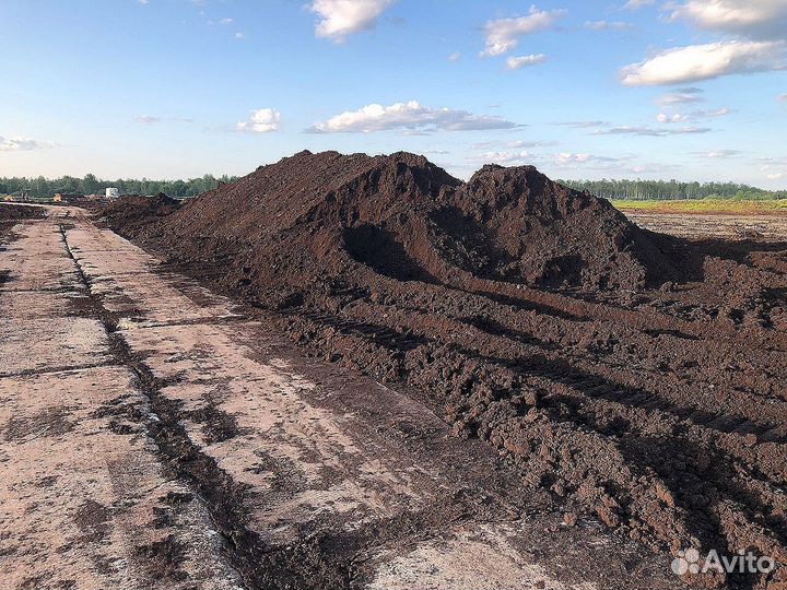 Верховой торф