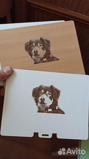 Кремация животных