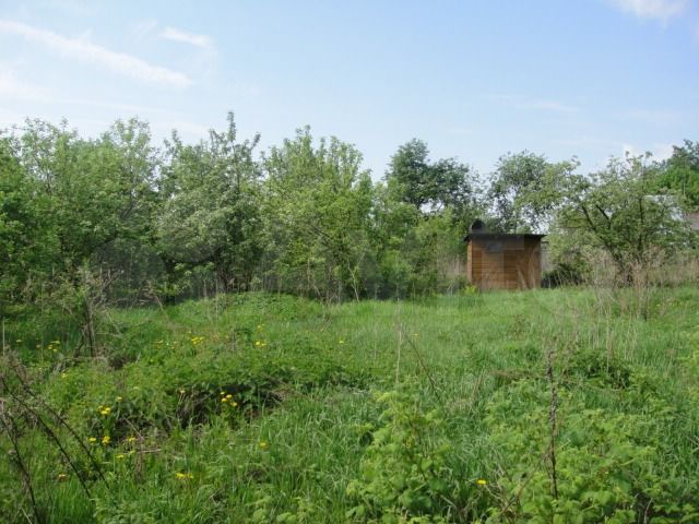 Участок 50 сот. (ИЖС)