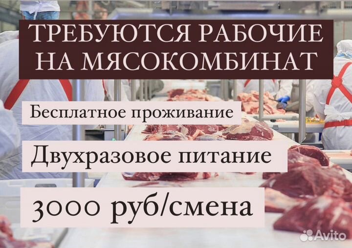 Работа вахта на мясокомбинат
