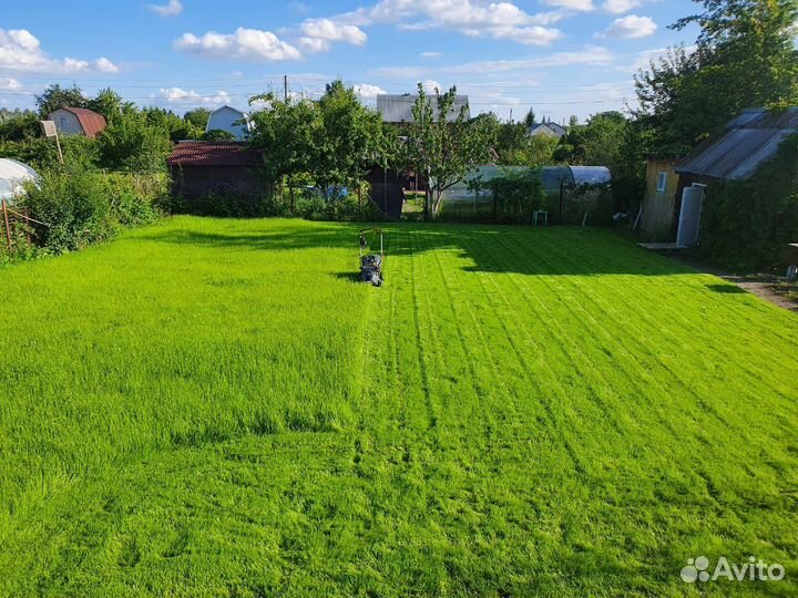 Гидропосев газона. Посев газона