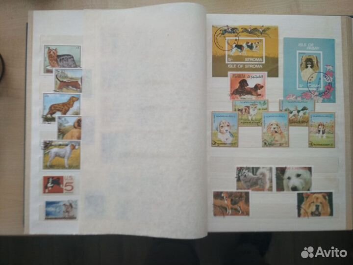 Марки-Кошки и Собаки