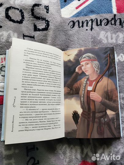 За северным ветром