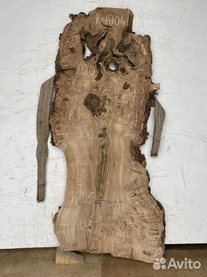 Слэбы карагач