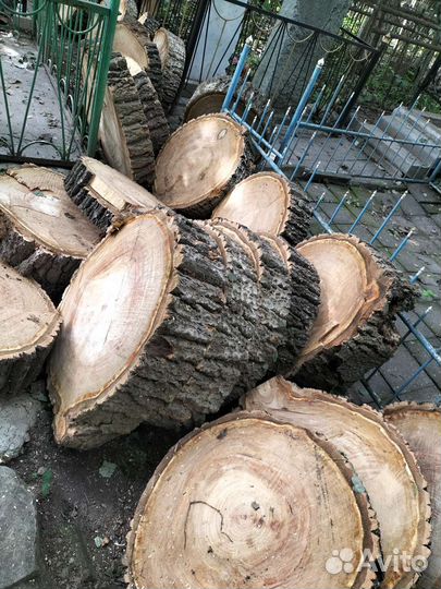 Спил деревьев, кронирование,расчистка участка