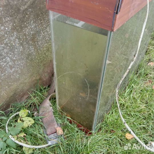 Аквариум на 50 литров