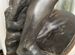 Статуэтка скульптура Чугун фигурка Касли
