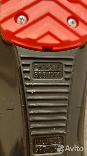 Горнолыжные ботинки