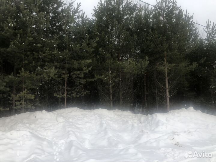 Деревья крупномеры