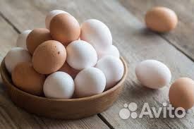 Укладчик Яиц Вахта 30 смен/Белгород