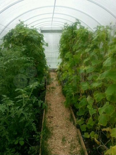 Дача 36 м² на участке 6 сот.