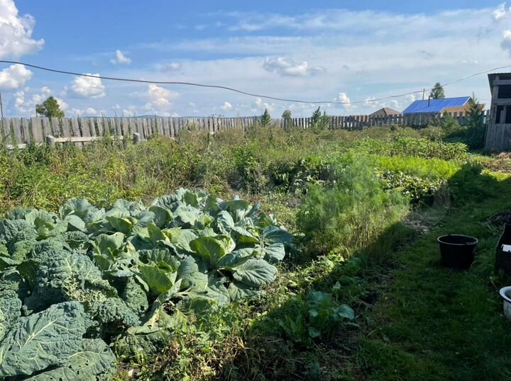 Дом 45 м² на участке 6 сот.