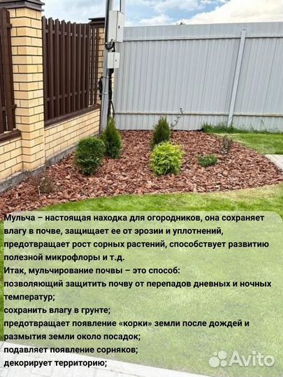 Мульча сосновая кора
