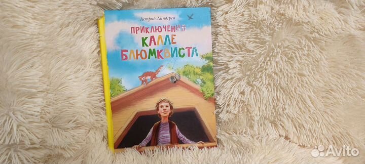 Книга Приключения Калле Блюмквиста