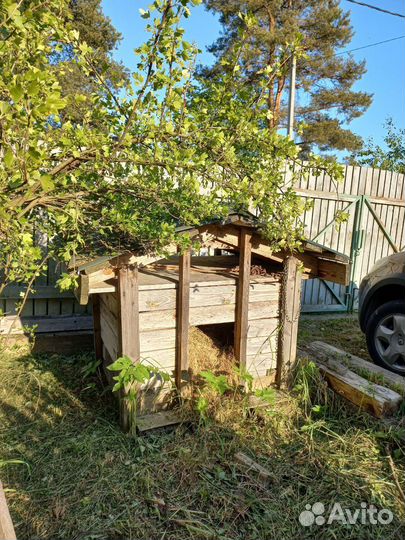 Собачья будка