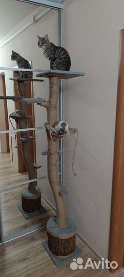 Когтеточка для кошек