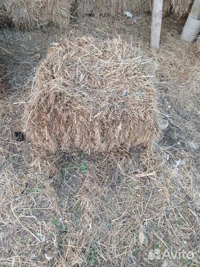 Сено в тюках