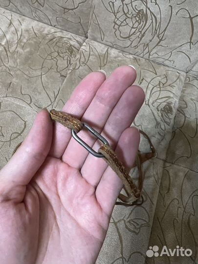 Ринговка для собак