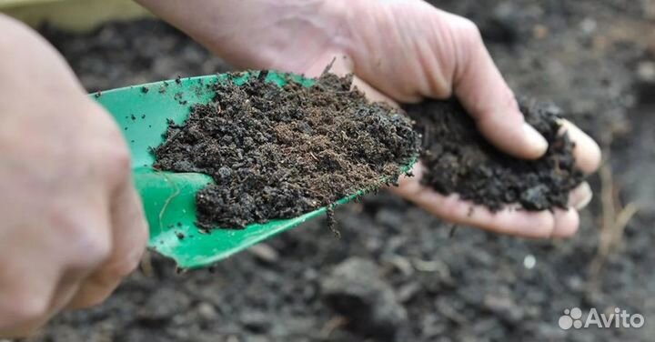 Торфогрунт