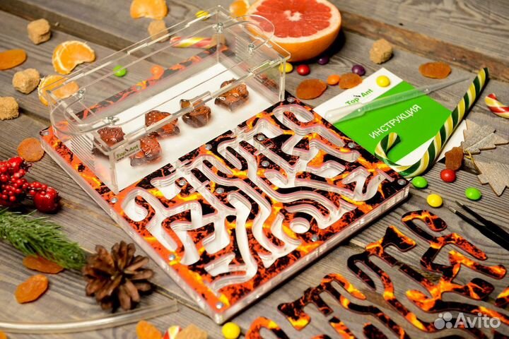 Муравьиная ферма