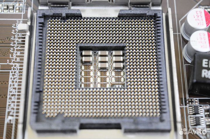 Asus P5kpl-am Socket 775/DDR2/G31