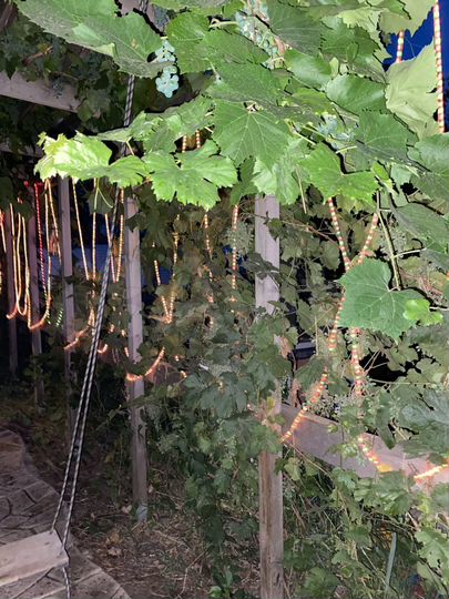 Дом 200 м² на участке 8 сот.