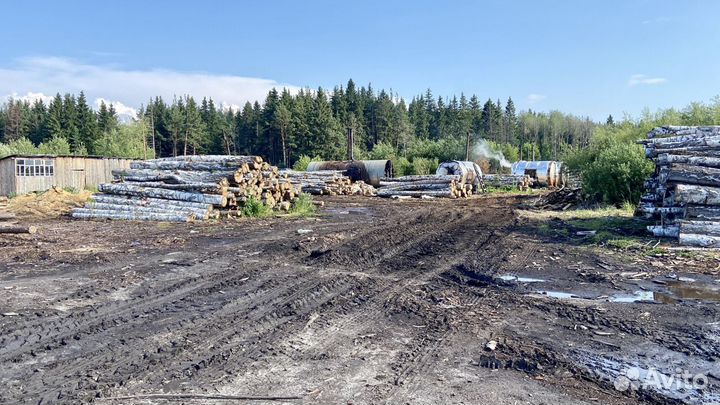 Уголь древесный в мешках