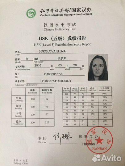 Китайский язык