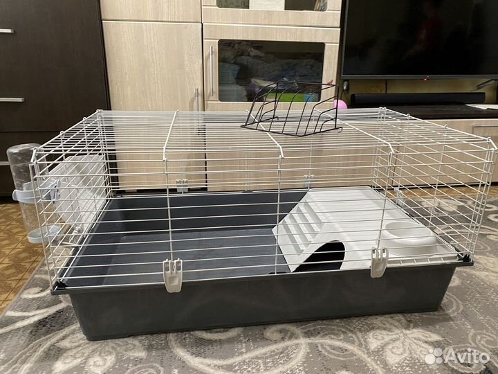 Клетка для грызунов очень большая