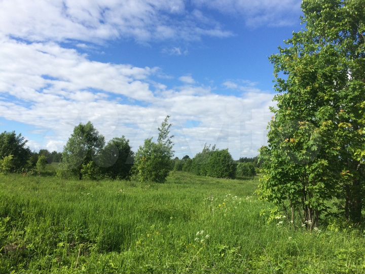 Участок 20 сот. (ИЖС)