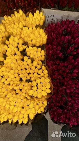 Букеты тюльпан и доставки