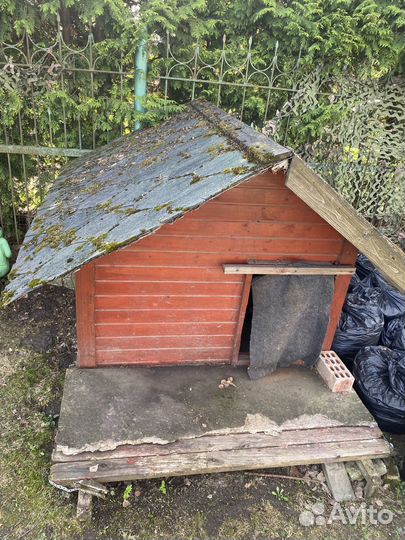 Отдаем собачью будку