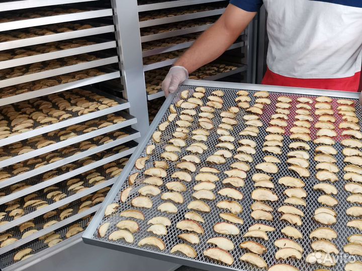 Дегидратор промышленный сушилка