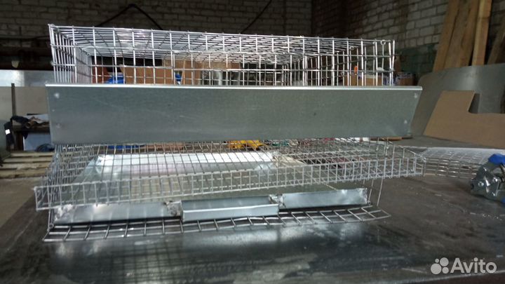 Клетка для перепелов