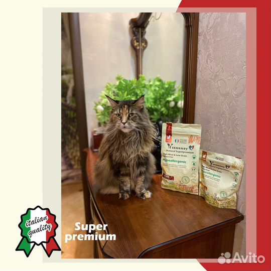 Корм Суперпремиум класса для собак и кошек