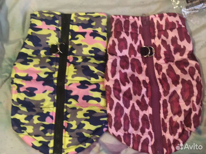 Новая однжда для собак