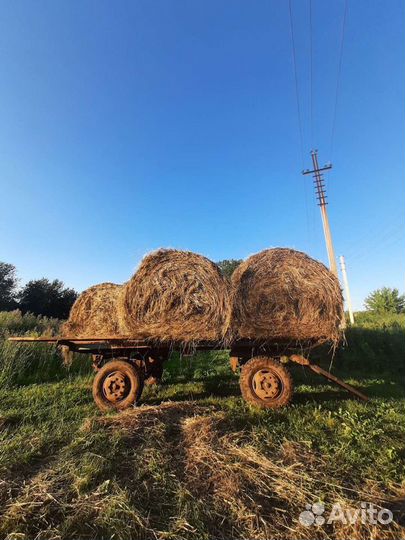 Продам сено в рулонах