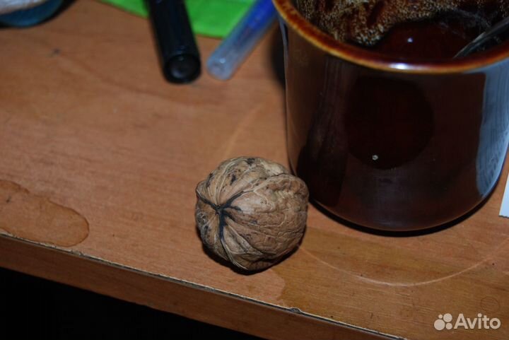 Трёх дольный грецкий орех