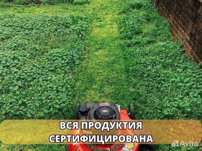 Укладка и продажа газона