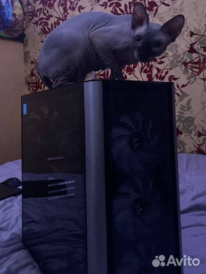 Пк Asus prime z690-p, intel core i5-12500,16 гб