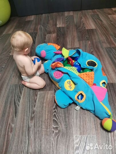 Сухой бассейн дракон