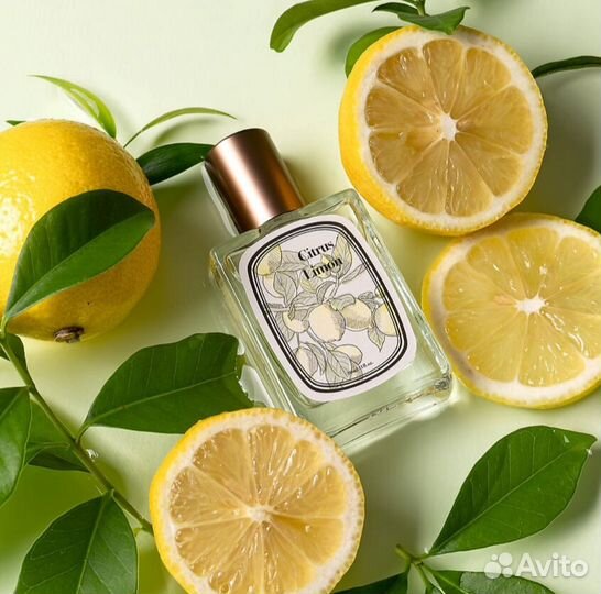 Парфюмерия