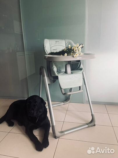 Стул Inglesina My Time цвет мятный