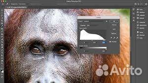 Adobe Photoshop 2022/2023