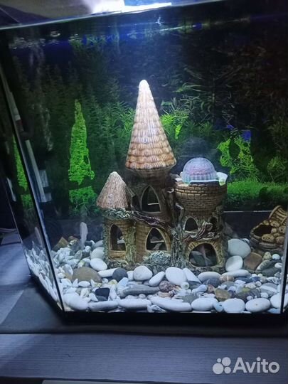 Освещение, лампа, диод