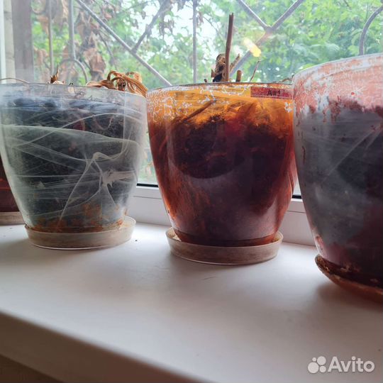 Кашпо, горшки для орхидеи 15 шт