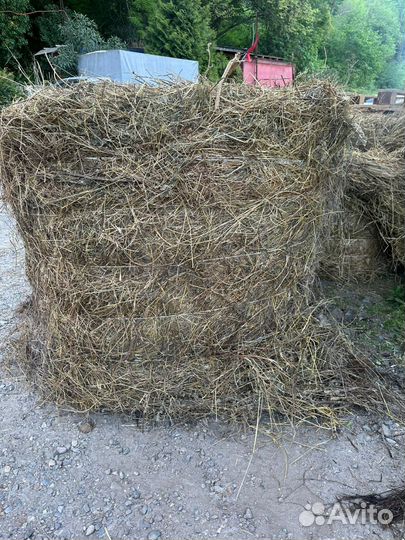 Сено разнотравие в Сочи