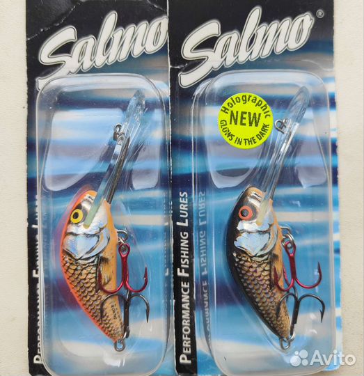 Salmo Hornet 5SDR-SRO/SBR